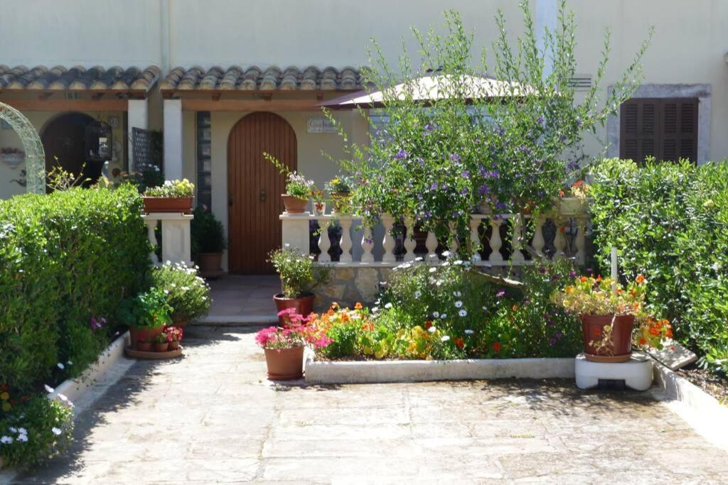 Casa Paraiso Са Кома Экстерьер фото